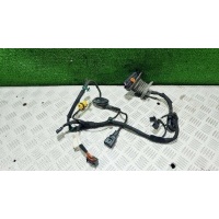 Проводка двери передней левой Volkswagen Golf 5 2005 1K0971120AP