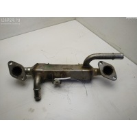 Охладитель отработанных газов Volkswagen Sharan (2000-2010) 2001 BNO038131513L
