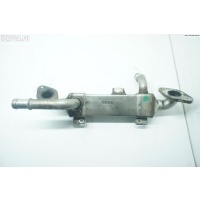 Охладитель отработанных газов Ford Galaxy (2000-2006) 2001 BHO038131513C