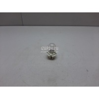 Патрон лампы BMW X5 E53 (2000 - 2007) 63216943037