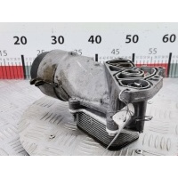 Корпус масляного фильтра Ford Fiesta 6 (2008-2019) 2008 ,1703252