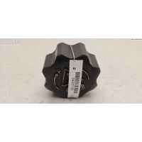 Пробка расширительного бачка Peugeot 307 2005 0000132314