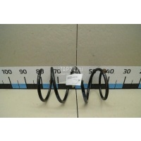 Пружина передняя K-Flex X-Trail (T30) (2001 - 2006) RD3136