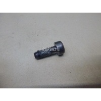 Болт маховика Fiat Punto II (188) (1999 - 2010) 55221004