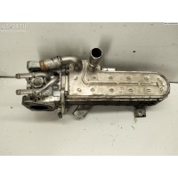 Охладитель отработанных газов Volkswagen Touran 2003 038131513AD