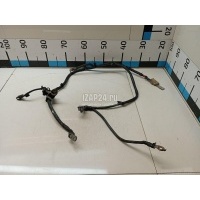 Клемма аккумулятора плюс Ford Focus II (2008 - 2011) 1386881