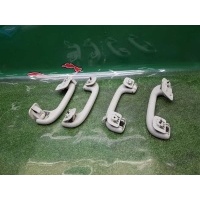 Ручки потолочные Mercedes-Benz M W163 2002 A1638103251