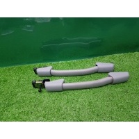 Ручки потолочные Mercedes-Benz CL C215 2001 A2158100951