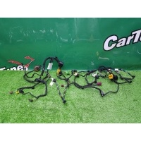 Проводка дверей Mercedes-Benz E C207 2009 A2075405405