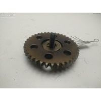Звездочка распредвала Mazda 5 2005 LF01-12-42Y