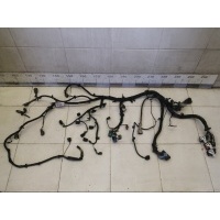 Проводка (коса) FORD Focus II 2008-2011 1480087