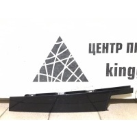 Молдинг двери Volkswagen Tiguan 2 AD1 до Рестайлинг 2016-2020 5NA837902C