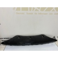 Защита бампера Hyundai Genesis 2 DH 2013-2016 86690B1000