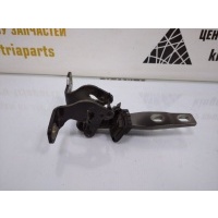 Петля крышки багажника BMW X3 F25 2010 41627211283