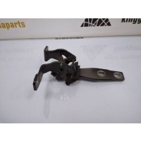 Петля крышки багажника BMW X3 F25 2010 41627211284