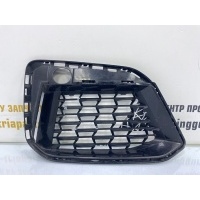 Решетка бампера BMW 5 G30 M-Pack Рестайлинг 2020-2022 51118098670