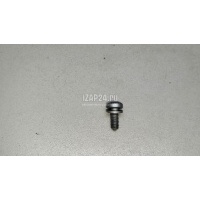 Винт VAG Passat [B7] (2011 - 2015) N10347003