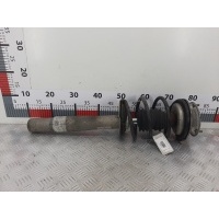 Стойка амортизатора переднего левого BMW 5-Series (E60/E61) (2003-2010) 2010 ,31316768795