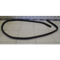 Уплотнитель (внутри) FORD Focus II 2005-2008 1534918