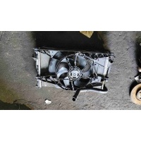 Кассета радиаторов Renault Laguna 2 2003 8200008863