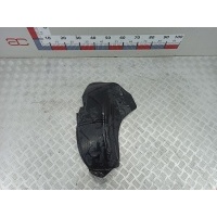Подкрылок (защита крыла) задний левый Renault Clio 2 (1998-2005) 2001 8200068384,7700410232