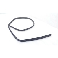 Уплотнитель проема двери Ford Focus 3 2016 1748755, BM51-N25324-AF