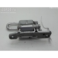 Петля двери задней левой Volkswagen Phaeton 2007 3D4833411C