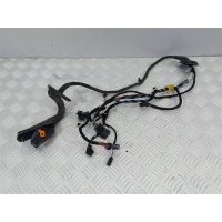 Проводка двери Skoda Rapid 2014 5JH971120AK