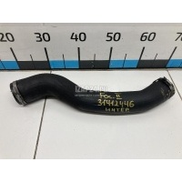 Патрубок интеркулера Ford Focus II (2005 - 2008) 1525112