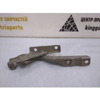 Петля капота Haval Wingle 7 8402300XP6PXA