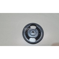 Шкив насоса гидроусилителя Nissan Murano (Z50) (2004 - 2008) 49132AD100
