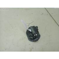 Динамик высокочастотный (пищалка) Renault Scenic II (2003-2009) 2005 8200001434