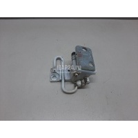 Петля двери передней левой нижняя VAG Passat [B6] (2005 - 2010) 3C8831411B