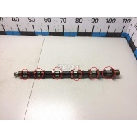 Распредвал выпускной Hyundai-Kia Trajet (2000 - 2009) 2420023770