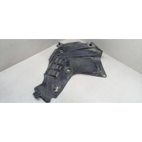защита арок передняя правая (подкрылок) Dacia Logan 2007 8200595807