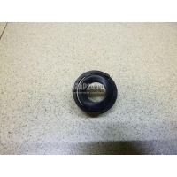 Кронштейн датчика парковки VAG Tiguan (2007 - 2011) 5N0919491D
