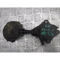 Ролик натяжной Citroen C4 2011- 120455