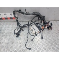 Проводка двигателя Volkswagen Passat 2003 038906019gq