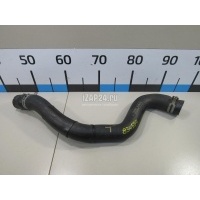 Патрубок радиатора Ford Kuga (2012 - 2019) GV6Z8260C