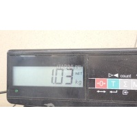 Амортизатор двери багажника Land Rover Discovery Sport 2014 LR074798