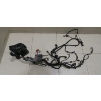 Проводка (коса) VAZ Lada Largus 2011> 8450090097