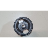 Шкив насоса гидроусилителя Nissan Quest (RE52) 2011 49132AD100
