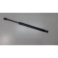 Амортизатор крышки багажника Nissan Murano 2002-2008 2005 90451CB800