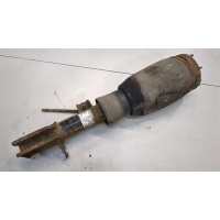 Амортизатор подвески Land Rover Range Rover 3 (LM) 2002-2012 2006 RNB000750
