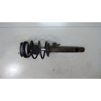 Амортизатор подвески BMW 3 E46 1998-2005 2003 31316759561