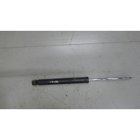 Амортизатор подвески Ford Focus 1 1998-2004 1999 4417789