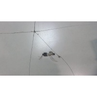 Датчик положения коленвала Volkswagen Passat 6 2005-2010 2010 03L957147