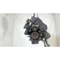 Двигатель (ДВС) Ford Transit (Tourneo) Connect 2002-2013 2006 1354658