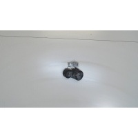 Натяжитель приводного ремня Ford Fiesta 2001-2007 2006 1480012