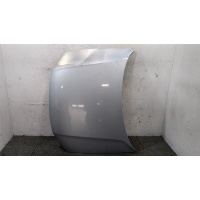Обшивка капота Volkswagen Passat 5 2000-2005 2004 3B0863835K